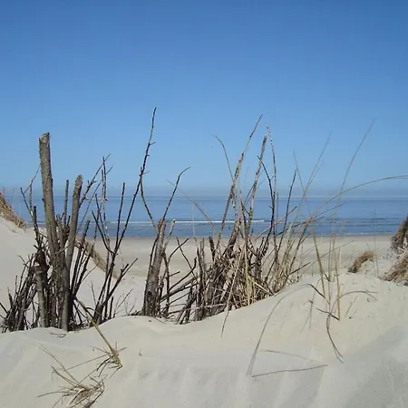 Strandblume Comfortable *
