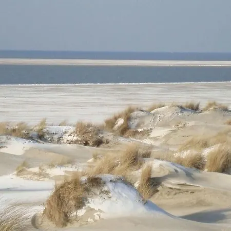 Strandblume Comfortable *