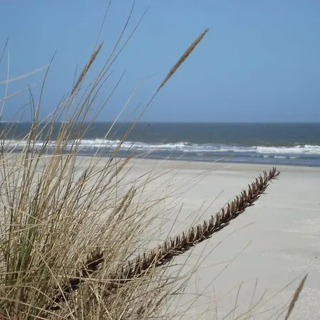 Strandblume Comfortable Borkum